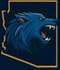 ARIZONA COYOTES